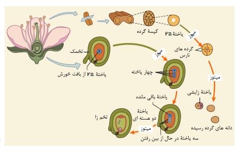 شرح پاسخ