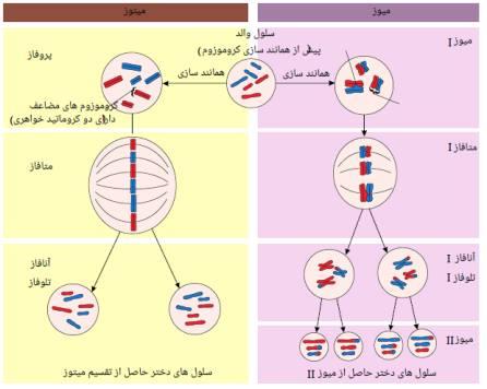 شرح پاسخ