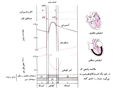 شرح پاسخ