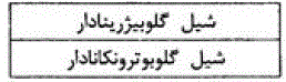 گزینه ج)