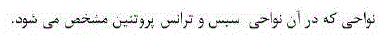 گزینه ج)