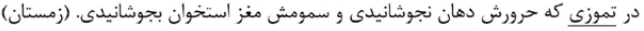 گزینه د)