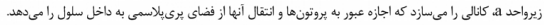 گزینه ج)