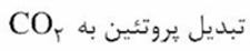 گزینه ج)