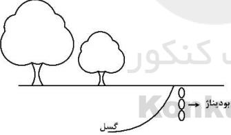 در مقطع (برش ساختاری) زیر با توجه به وضعیت بودیناژها سازوکار گسل مورد نظر کدام است؟ 