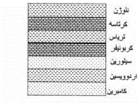 در شکل زیر، ازمان ظهور فوزولیناسه آ تا انقراض آمونیت ها ، چند مرحله خروج از آب روی داده است ؟