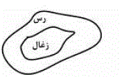 قطعه زیر، در جدایش واسطه سنگین، به کدام بخش منتقل می شود؟