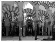 تصویر زیر شبستان کدام مسجد است؟